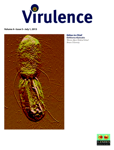 Figure 1. Cover of Virulence Volume 4, Issue 5 (July 1, 2013).