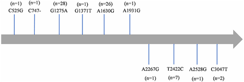 Figure 4 Gene mutations of linezolid in the 23S rRNA (rrl) among M. intracellulare clinical isolates.