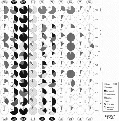 Figure 5. Pie charts of percentage ground cover at each zone level from June 2011 to February 2014 for the Estuary Road site. Each pie chart represents the zone level data averaged across lateral repeats. BZ0, BZ2 and BZ3 refer to zone levels on the landward side of the boardwalk (see Figure 6 for profile and photo). See Figure 1C for the location of the Estuary Road site and Figure 2C for the location of each survey site.