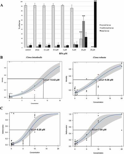 Figure 4. Effects of BPA exposure on embryonic development of Ciona intestinalis and C. robusta. (A) Percentages of normal, malformed and dead larvae exposed to different concentrations of BPA in C. intestinalis. Differences from control: ***p < 0.001. (B) Dose–response curves for mortality in C. intestinalis and C. robusta. (C) Dose–response curves for malformations in C. intestinalis and C. robusta. EC50 and LC50 values were calculated using probit models.