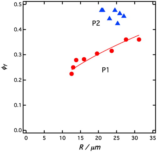 Figure 6. Sediment volume fraction ϕf, plotted as a function of average drop radius, R, for P1 (red filled circles) and P2 (blue filled triangles) emulsions, respectively. The solid line is a best fit of the relation ϕf  = AR1/2 to the P1 emulsion data, with A being an adjustable parameter.