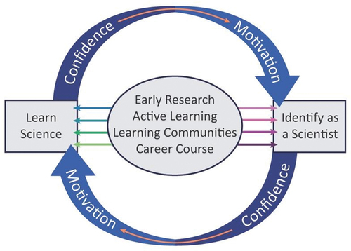 Figure 1. STEM persistence framework adapted from Graham et al. (Citation2013) to include a career course.