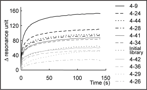 Figure 3 Binding assay of DNA clones by SPR. The constantly appearing DNA clones were injected on a chip, onto which α-PrP was already immobilized. The names of the clones are shown on the right. The clones are ordered according to the strength of the signal.