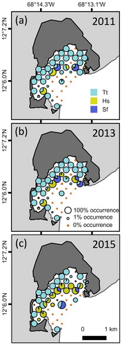 Figure 2. The occurrence and distribution of Thalassia testudinum, Halophila stipulacea and Syringodium filiforme in (a) 2011, (b) 2013 and (c) 2015 at the 49 fixed sampling locations in Lac Bay, Bonaire.