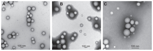 Figure 1 Transmission electron microscopic images of (A) PLGA/CS nanoparticles, (B) PLGA/PVA nanoparticles, and (C) PLGA/PF68 nanoparticles.Abbreviations: PLGA, poly (lactide-co-glycolide); PVA, poly (vinyl alcohol); PF68, Pluronic® F68; CS chitosan.
