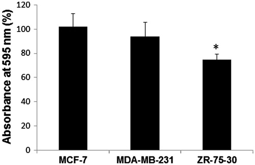 Figure 3. Effect of breast tumor cells conditioned media on the cell number. Cells were treated with the corresponding conditioned media for 72 h and cell proliferation was evaluated by crystal violet staining. Each value was estimated as a percentage of control (cells without any treatment). At least, three independent trials of the experiments were performed, and the data are expressed as the means ± standard deviation (SD). Statistical analysis was performed using one-way analysis of variance (ANOVA-test) with GraphPad Prism software version 5.01. *A p-value of <.05 was considered statistically significant.