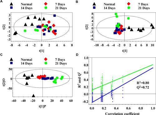 Figure 2 Metabolomics analysis of serum samples of the normal and metastasis groups (A) PCA scores plot between the metastatic groups and normal control; (B) PLS-DA scores plot between the metastatic groups and normal control; (C) OPLS-DA scores plot between the metastatic groups and normal control; (D) The PLS-DA model was statistically verified by permutation analysis (200 times). R2 represents explained variance, and Q2 represents the predictive ability of the model.