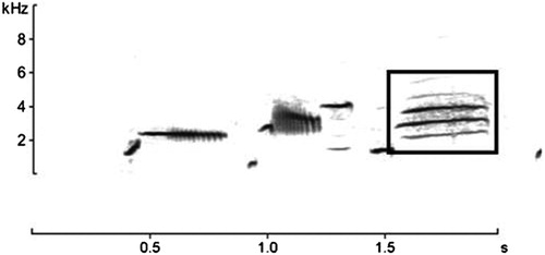 Figure 2. Sonogram of a typical Dupont’s Lark song. Rectangle shows the final song of the species, which was used for building the recognizer.