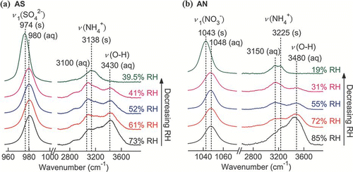 FIG. 5 Raman spectra of a single (a) AS and (b) AN particles upon evaporation. (Figure provided in color online.)