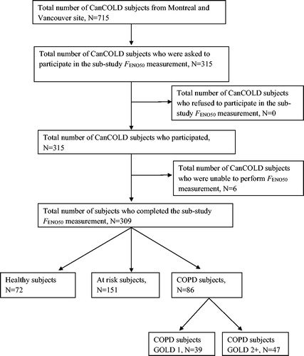 Figure 1. Study participant flow diagram CanCOLD: Canadian Cohort Obstructive Lung Disease; FeNO: Fractional exhaled nitric oxide; COPD: Chronic obstructive pulmonary disease; GOLD: Global Initiative for Chronic Obstructive Lung Disease.