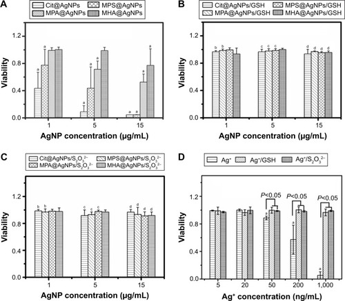 Figure 3 The viabilities of E. coli after 6-h exposures of different AgNPs.Notes: (A) AgNP treatment alone, (B) The coexposure of AgNPs and 1 mM GSH, (C) The coexposure of AgNPs and 0.1 mM Na2S2O3, and (D) The exposure of Ag+ in the absence or presence of 1 mM GSH or 0.1 mM Na2S2O3. aDenotes significant difference between each AgNP exposure group and the negative control (P<0.05). bDenotes significant difference between each AgNP (1 μg/mL) plus GSH or Na2S2O3 coexposure group and 1 μg/mL AgNP exposure alone (P<0.05). cDenotes significant difference between each AgNP (5 μg/mL) plus GSH or Na2S2O3 coexposure group and 5 μg/mL AgNP exposure alone (P<0.05). dDenotes significant difference between each AgNP (15 μg/mL) plus GSH or Na2S2O3 coexposure group and 15 μg/mL AgNP exposure alone (P<0.05).Abbreviations: E. coli, Escherichia coli; AgNP, silver nanoparticle; Cit, citrate; GSH, glutathione; MPA, mercaptopropionic acid; MHA, mercaptohexanoic acid; MPS, mercapto-propionic sulfonic acid.