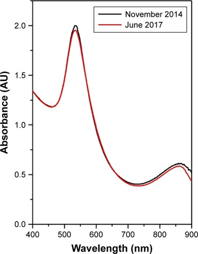 Figure 4 UV–Vis absorption spectra of 1 mL OH AuNP solution measured right after the synthesis (black curve) and after 30 months of storage at room temperature (red curve).Abbreviations: UV, ultraviolet; Vis, visible; OH, Origanum herba; AuNP, gold nanoparticle.
