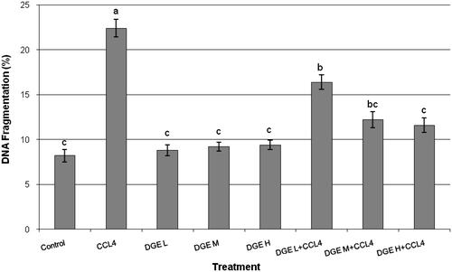 Figure 4. Rate of DNA fragmentation in liver tissues of male rats exposed to CCl4 and/or D. glabra leaves extract. DGE: D. glabra extract, DGE L: 50 mg/kg bw, DGE M: 100 mg/kg bw and DGE H: 200 mg/kg bw of D. glabra extract. Data are presented as mean ± SEM. a,b,c are significantly different (p ≤ 0.05).