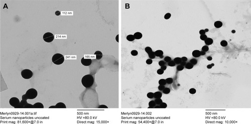 Figure 3 TEM images of selenium NPs.Notes: Scale bars are 500 nm. (A) 15,000× magnification; (B) 10,000× magnification. HV is the accelerated voltage used during analysis.Abbreviations: NPs, nanoparticles; TEM, transmission electron micrograph.