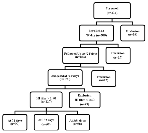 Figure 1. Flowchart of vaccinees followed up at different time points.