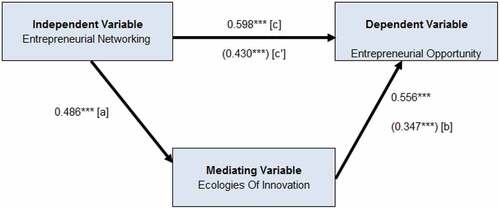 Figure A5. Medgraph: ecologies of innovation partially mediated entrepreneurial networking and opportunity exploitation.