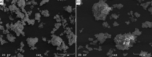 Figure 2. SEM images of the wastes: (a) W1 and (b) W2, as delivered.