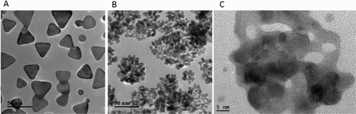 Figure 2. TEM and HRTEM images of NPs (a) Ag nanoprisms; (b) BSNPs; (c) BSNPs.