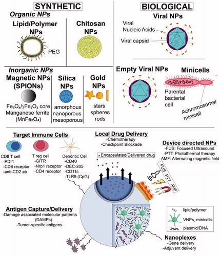 Figure 1. NP-ISV classes and therapeutic approaches. NP-ISVs are chemically synthesized or derived from biological agents. NP-ISVs can be utilized for multiple functions such as antigen capture, immune adjuvants, gene and drug delivery, immune cell targeting, or amplified via external devices to induce local and systemic anti-tumor immunity.