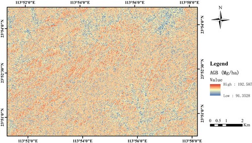 Figure 9. AGB map from the RF model with all the S-1 and S-2 integrated variables (S1S2all).