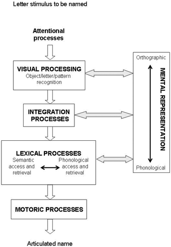 FIGURE 1 Model of visual naming. Adapted from CitationWolf, Bowers, and Biddle (2000). Reprinted by permission of SAGE Publications.