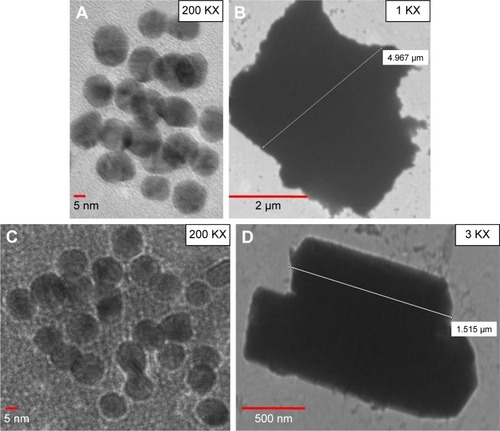 Figure 3 Validation of functionalized GNPs and MBs coupled with antibodies.Notes: TEM images of (A) unbound GNPs, (B) functionalized GNPs, (C) unbound MBs and (D) MBs coupled with capture antibodies.Abbreviations: GNPs, gold nanoparticles; MBs, magnetic beads; TEM, transmission electron microscopy.