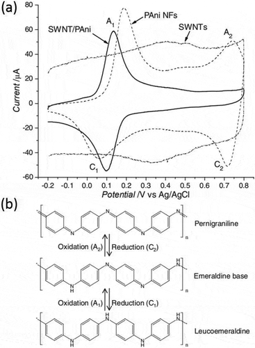Figure 9. (a) Cyclic voltammograms of pristine SWNTs, PANI, and SWNT/PANI nanocomposites; (b) Three oxidation states of PANI. Reprinted with permission from [Citation85]. Copyright 2010 John Wiley and Sons