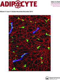 Cover image for Adipocyte, Volume 4, Issue 4, 2015