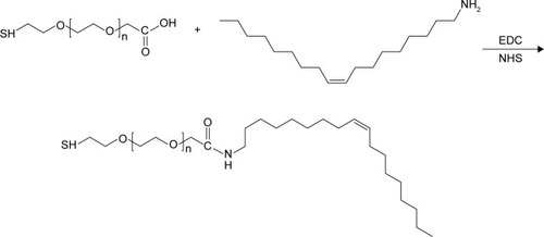 Figure 1 Synthesis of amphiphilic copolymer (SH-PEG–OAm).Abbreviations: EDC, 1-ethyl-3-(3-dimethylaminopropyl)-carbodiimide; NHS, N-hydroxysuccinimide; OAm, oleylamine; PEG, poly(ethylene glycol).