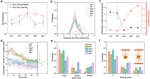 Figure 2. MD simulations with an interlayer spacing of 12.5 Å and an applied pressure of 32.4 MPa. (a) Normalized fluxes of lanthanide ions into the MoS2-COOH channel and into the permeate, respectively. Flux calculations are based on linear fits to the time evolution of ion entry, focusing on periods of maximum rate increase. (b) Distributions of various lanthanide ions within the channel relative to the distance from the center of the channel in the z-axis direction. (c) Dehydration numbers for lanthanide ions during entry into the channel (black curve) and while all ions are inside the membrane with no pressure applied to the piston wall (static condition, red curve). (d) Average changes in the coordination number (CN) in the first solvation shell of lanthanide ions over time, with corresponding integrated CN distribution profiles. (e) Averaged distributions of dwell times for lanthanide ions near the 3.5 Å region of the –COOH/–COO– groups. (f) Average binding mode distributions of lanthanide ions with the –COOH/–COO– groups (3.5 Å cutoff). The insets show the schematic definition of binding to one or two carboxylates. Data represent averaged values derived from three independent simulations, with error bars showing standard errors of the means.