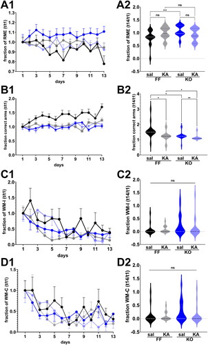 Figure 5. Long-term reference memory impairment. (A1–D1) Mean ± sem of the (A1) fraction of reference memory errors (RME), (B1) correct choices (correct arms), (C1) working memory incorrect errors (WM-I), and (D1) working memory correct errors (WM-C) obtained during the training sessions. (A2 - D2) Violin plot showing the median values of RME (a), correct arms (B), WM-C (D), and WM-I (C) obtained during the test phase for 2 months old mice that were saline (Sal) and kainic acid (KA) injected at age P21. Panx1f/f (FFsal, n = 15; FFKA, n = 21) and global Panx1 knockout (KOsal, n = 21; KOKA, n = 19) mice. ns: not significant, *p < 0.03, **p = 0.007, ***p = 0.0005 (Kruskal-Wallis followed by Dunn’s multiple comparison tests).