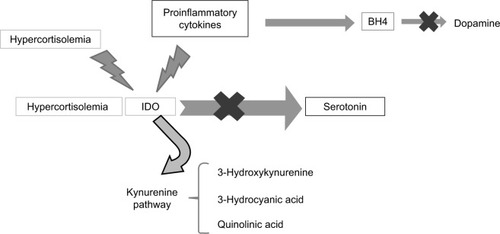 Figure 2 Inhibition and synthesis of serotonin and dopamine.