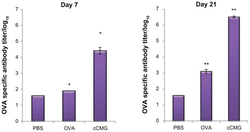 Figure 7 Specific antibody titers against OVA in murine blood were determined by ELISA after injection of PBS, OVA, or OVA-cCMG.Notes: The results are expressed as the mean ± SD of three independent experiments. Significant differences between the groups: *P < 0.05; **P < 0.01.Abbreviations: cCMG, cationic cholesterol-modified gelatin; OVA, ovalbumin; PBS, phosphate-buffered saline.