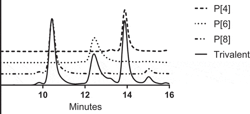 Figure 3. Ion exchange high-performance liquid chromatography data comparing monovalent standard elution peaks P[4], P[6], and P[8] with that of the trivalent vaccine antigen.
