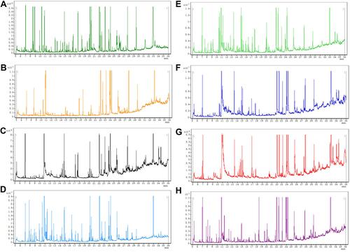 Figure 2 Representative GC-MS total ion current (TIC) chromatograms of the serum (A), colon (B), heart (C), liver (D), kidney (E), cortex (F), hippocampus (G), and brown fat (H) samples from a mixture of DSS and control groups.