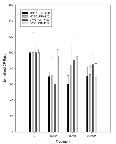 Figure 7. Normalized CP ratios for the β polymerase levels of expression following LDR and PDR irradiation with hyperthermia (LDRH and PDRH) for the MCF7 and C716 cell lines. Student's t-test determined that the differences between matched PDRH and LDRH doses, as well as LDRH untreated vs treated dose points are not statistically significant at the 95% confidence level for either cell line. Significant differences were found for the PDRH untreated vs. 6 Gy at 0 h and 6 Gy after 6 h data points for the MCF7 cell line and PDRH untreated vs. 6 h at 0 h data points for the C716 cell line.