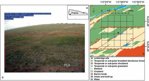 Figure 1. Location of the PhenoCam Lethbridge site in the Prairie Ecozone. (a) Field of view of the PhenoCam digital camera and the region of interest (red rectangle). (b) Land cover types of the surrounding area. (c) The surrounding area (marked by the 5 × 5 grid). Each grid square represents the footprint of a single 500-m MODIS pixel on the ground. The base map for the surrounding area is adapted from the 2010 Land Cover of Canada map (Canada center for mapping and earth observation under the open government license https://open.canada.ca/en/open-government-license-canada) complete with a map legend where only land cover types of the present spatial extent in the region of interest and surroundings are listed.