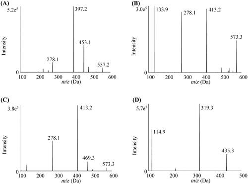 Figure 1. The product ion mass spectra of ATV, o-ATV, p-ATV and SVA. (A) ATV; (B) o-ATV; (C) p-ATV; (D) SVA.