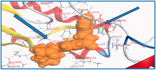 Figure 4. 3D binding mode and residues involved in the recognition of active compound 36 at active site (c-di-GMP).