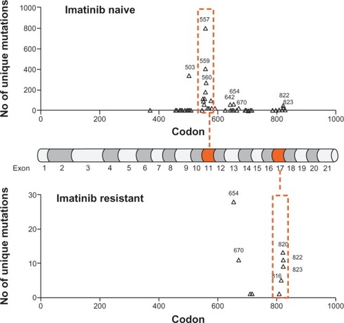 Figure 2 Relative frequency of c-KIT mutations in gastrointestinal stromal tumors. Top panel shows the relative frequency of mutations in treatment-naïve patients. Where the mutation results in more than one amino acid substitution/deletion/insertion, the most N-terminal residue is denoted. The total number of gastrointestinal stromal tumor samples in this data set is 7254 for which there were 3903 unique mutated samples. Mid-panel shows mRNA of c-KIT denoting the 21 exons. Lower panel shows the relative frequency of mutations in patients who had progressed on imatinib. Two exon hot spots are highlighted with a dotted orange line.