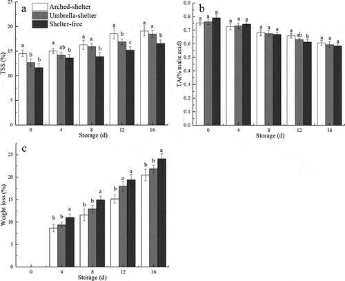 Figure 3. Changes in TSS (a), TA (b) and weight loss (c) of sweet cherry fruit during storage. The results presented are the means ± SDs of three replicates. Different letters (on the same day) indicate significant differences (p < .05).Figura 3. Cambios en el TSS (a), el TA (b) y la pérdida de peso (c) de los frutos de cereza dulce durante el almacenamiento. Los resultados presentados indican las medias ± DE de tres réplicas. Las distintas letras (en el mismo día) indican diferencias significativas (p < .05)