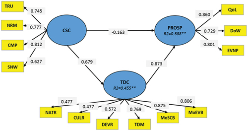 Figure 2. First reflective model without discriminating items.