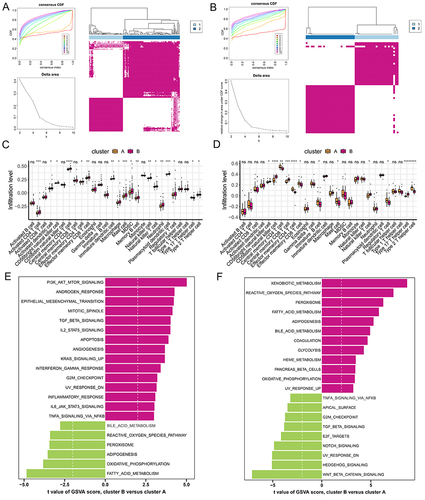 Figure 8 Consensus Clustering Analysis Identifying Molecular Subtypes Associated with Heart Failure and Chronic Kidney Disease. (A and B) Cumulative distribution function curves of consensus scores, changes in area under the Delta curve, and consensus clustering heatmap at K=2-10. (C and D) Analysis of immune cell distribution in Crosstalk Gene subtypes Cluster 1 and Cluster 2 based on the ssGSEA algorithm. (E and F) GSVA reveals significant differences in biological pathways between subtypes of heart failure and chronic kidney disease. ns, p>0.05; *p<0.05; **p<0.01; ***p<0.001; ****p<0.0001.