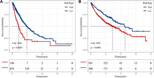 Figure 9 Kaplan-Meier survival plots of high-risk and low-risk groups in TCGA-NSCLC dataset (A) and GSE cohorts (B). Log rank test was performed.