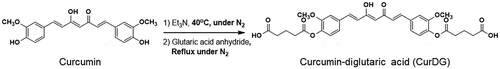 Figure 1. Synthesis scheme of curcumin-diglutaric acid (CurDG).