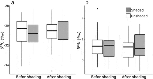 Figure 3. δ31C and δ30N values of leaf tissue in shaded and unshaded individuals of C. goeringii. The left plots are the values from the first day of the shading, and right plots are from the last day of the shading. Null models were selected based on AIC value. A, δ31C; B,δ30N.