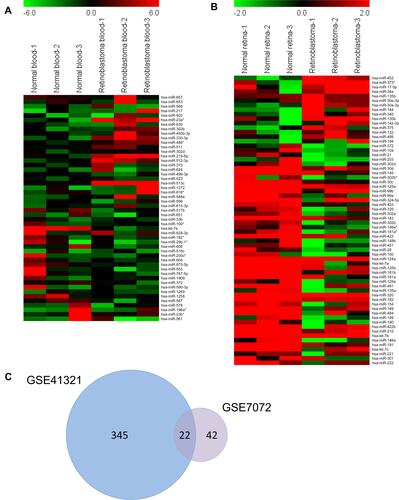 Figure 1 Identification of DEmiRs-associated retinoblastoma. A total of 367 and 64 DEmiRs were identified from GEO datasets GSE41321 (3 normal whole blood serum samples and 3 retinoblastoma whole blood serum samples) and GSE7072 (3 human normal retina tissues and 3 human retinoblastoma tissues) using GEO2R according to the criterion: P<0.05 and |log2 FC|>2. Heat maps were generated using MeV v4.8.1. (A) Heat maps of top 25 up-regulated and 25 down-regulated miRNAs from GSE41321. (B) Heat maps of DEmiRs from GSE7072. (C) Venn diagram of overlapped DEmiRs.