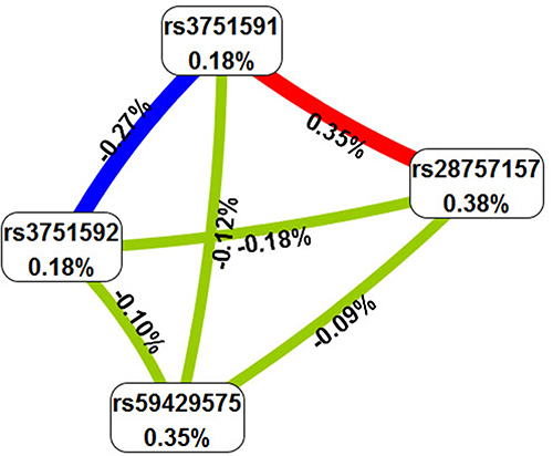 Figure 2 The circle graph showed that the interaction between rs28757157 and rs3751591 was synergistic, with the information gain value 0.35%.