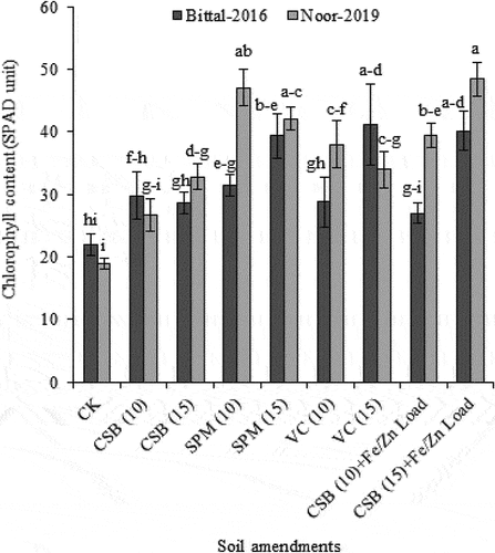 Figure 4. Effect of cotton-stick biochar and organic amendments on chlorophyll content of two chickpea varieties. The error bars are mean ± S.E. CK, control; CSB, cotton-sticks biochar; SPM, sugarcane press-mud; VC, vegetable compost.
