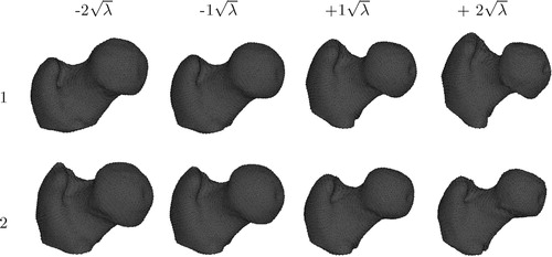 Figure 1. The first two eigen modes of variation of our proximal femur model. The shape instances were generated by evaluating with .